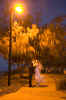 IMG_3098_original.jpg (188695 bytes)